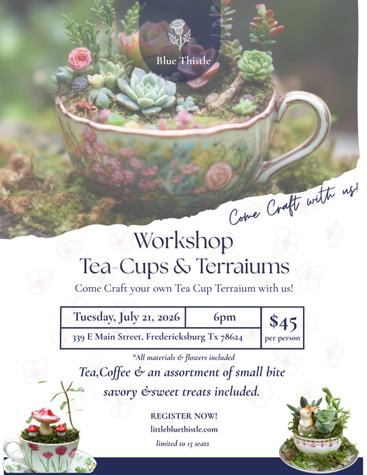 Tea cups & Terrariums