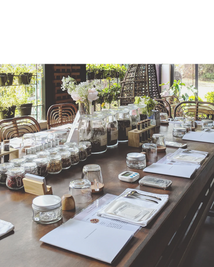 Tea Tasting— Blue Thistle