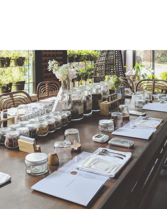 Tea Tasting— Blue Thistle